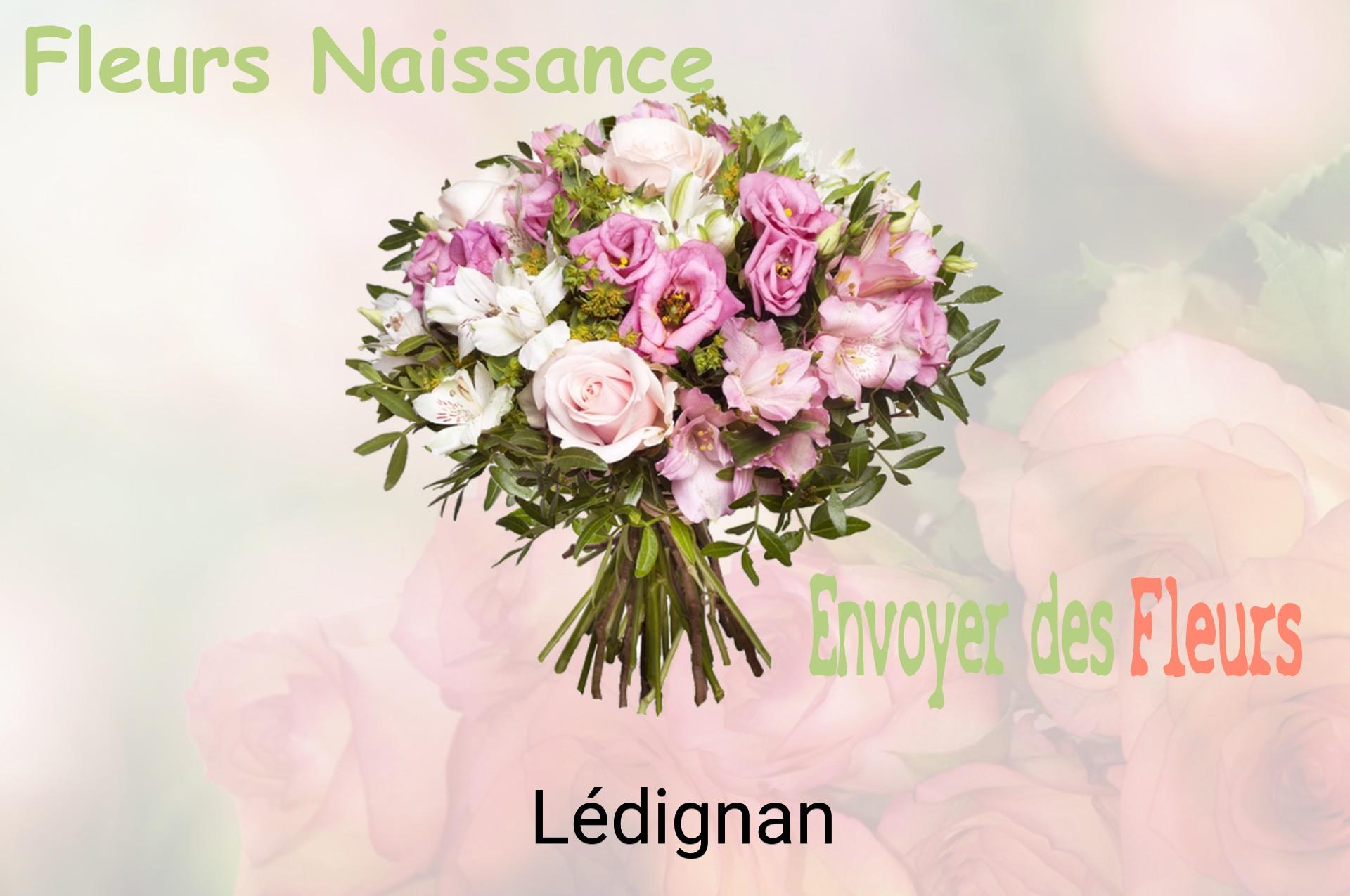 Bouquet de fleurs de naissance livré à Lédignan
